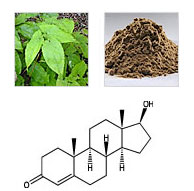 Epimedium Leaf Extract 